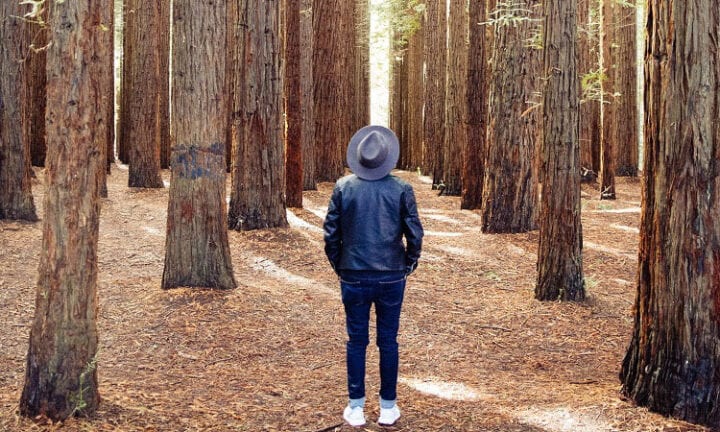 leef een lang leven zoals bomen