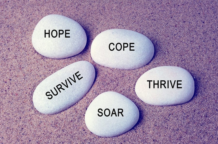 Inspirational rocks with hope, cope, survive, soar, thrive