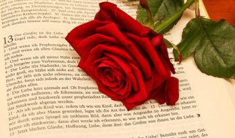 Inspiring Bible Verses about Love