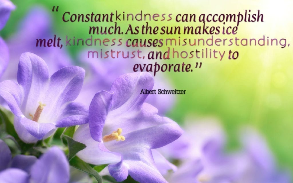 Constant kindness can accomplish much. Quote