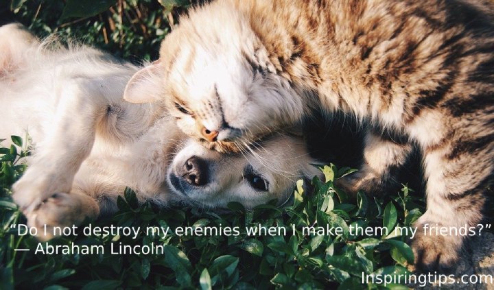 Best Friendship Quotes to Share with Friends on Facebook