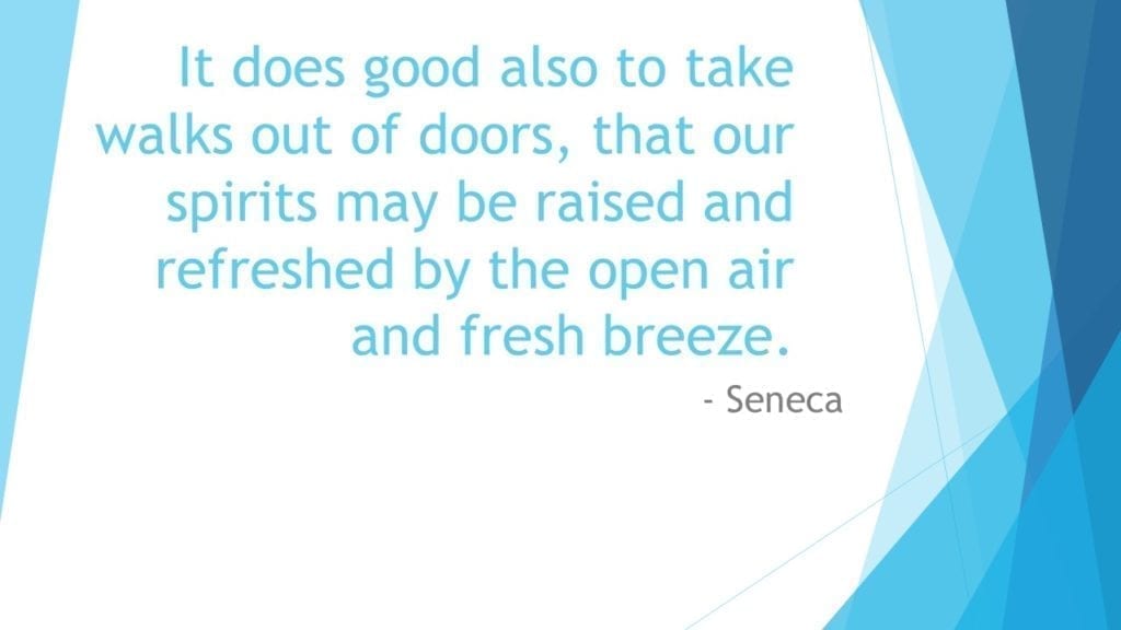 Seneca quote