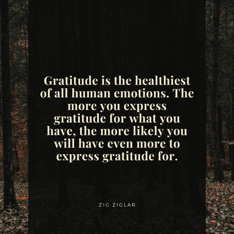 gratitude quote zig ziglar