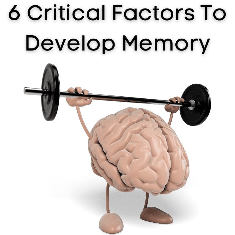 6 Critical Factors To Develop Memory