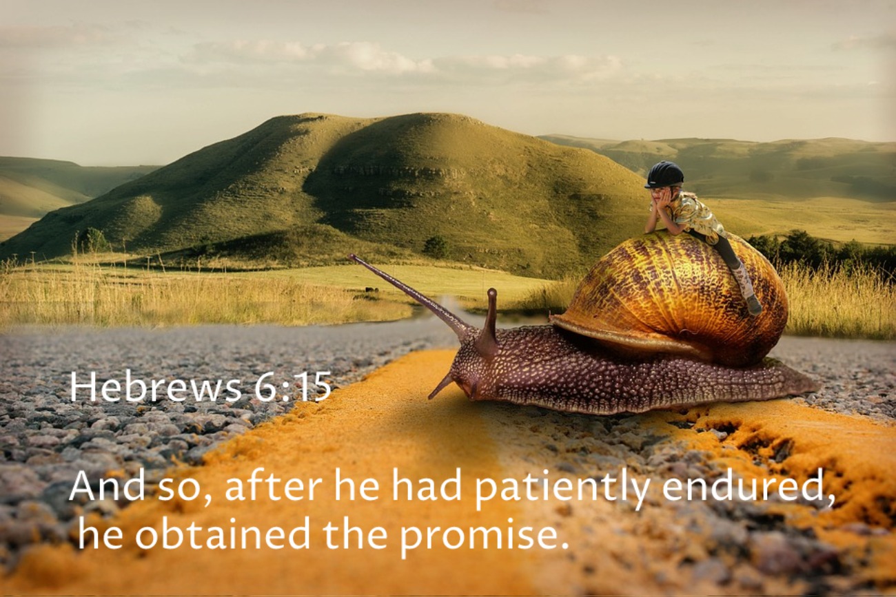 Hebrews 6:15