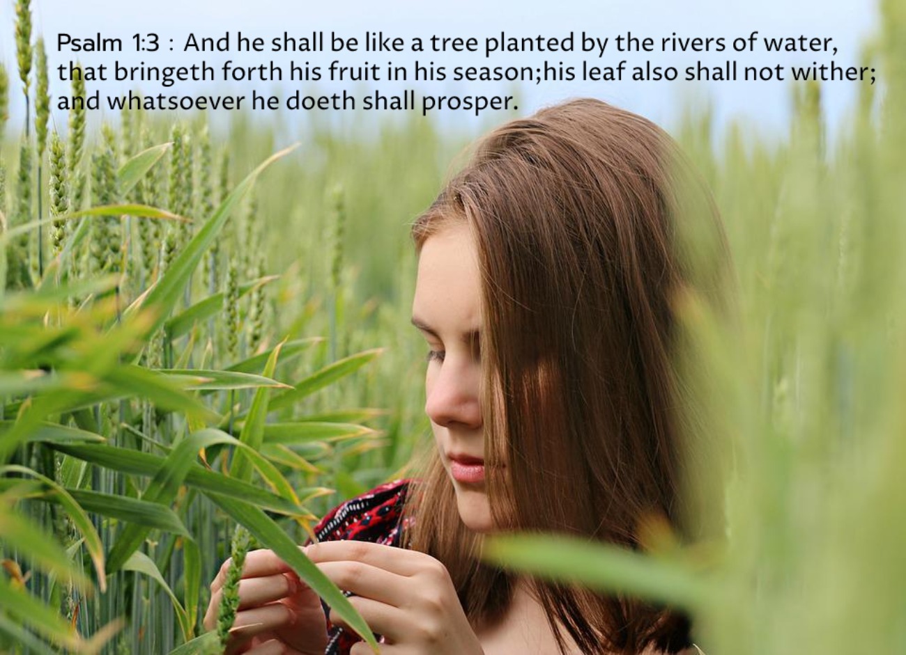 bible-verses-about-prosperity-kjv