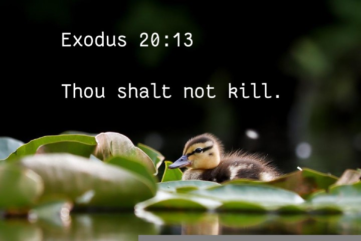 Exodus 20:13