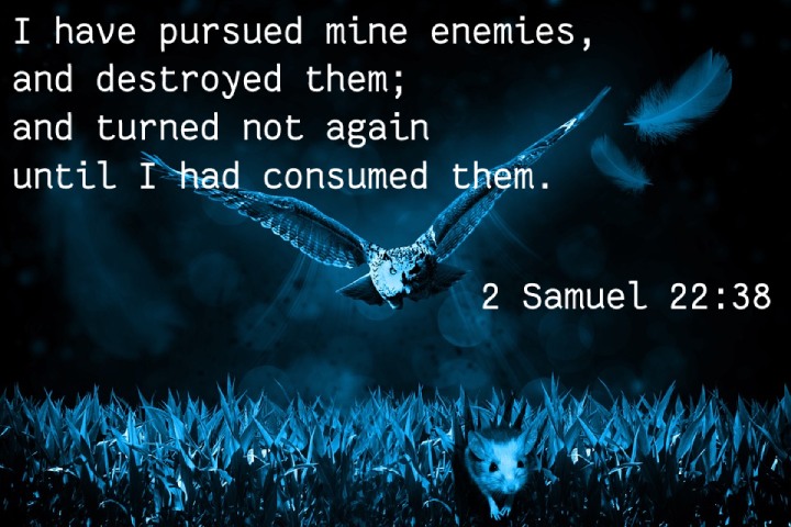 2 Samuel 22:38