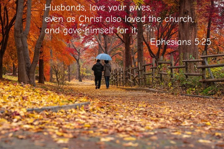 Ephesians 5:25