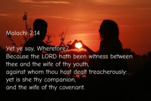 Bible Verses About Husbands (KJV)