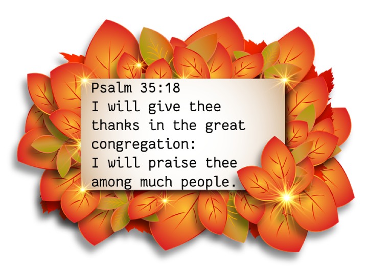 Psalm 35:18
