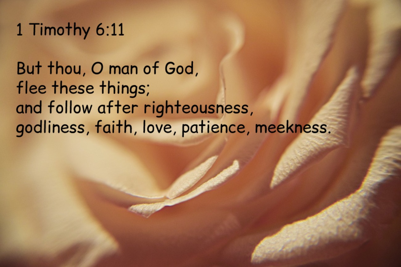 Bible Verses About Gentleness (KJV)