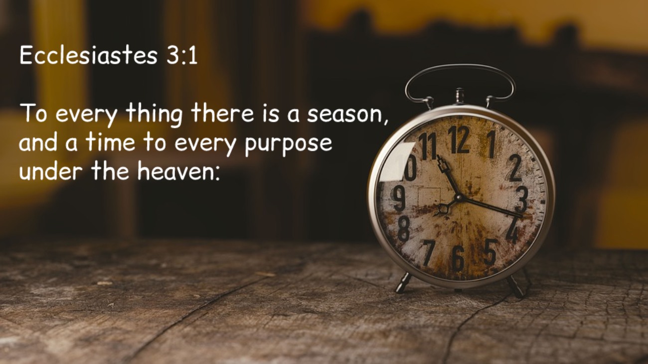 Bible Verses About God s Timing KJV 