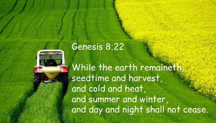 Genesis 8:22