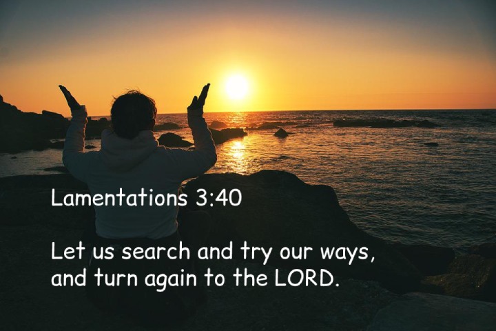 Lamentations 3:40