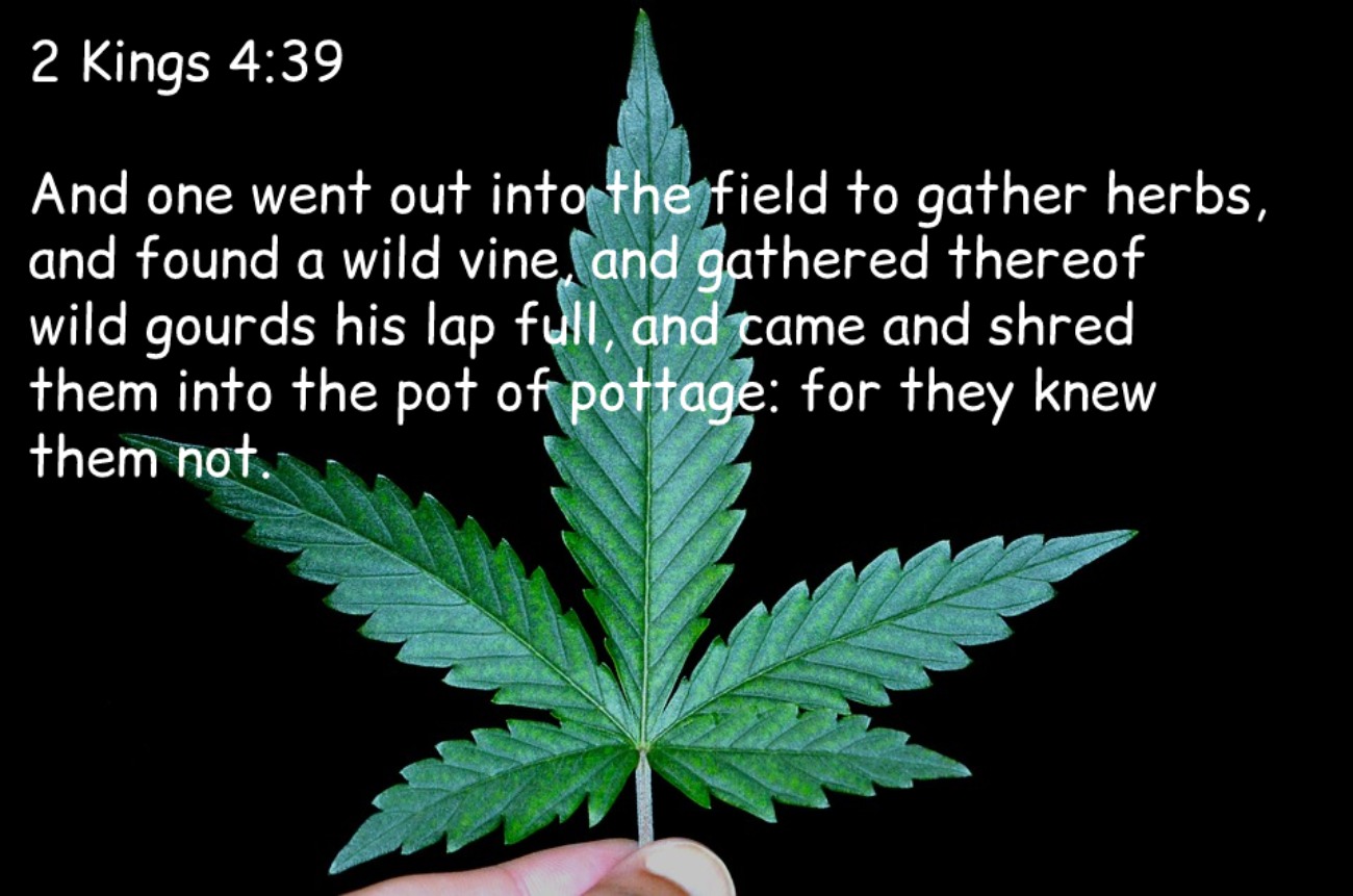 Bible Verses About Weed (KJV)