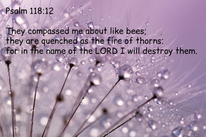 Psalm 118:12