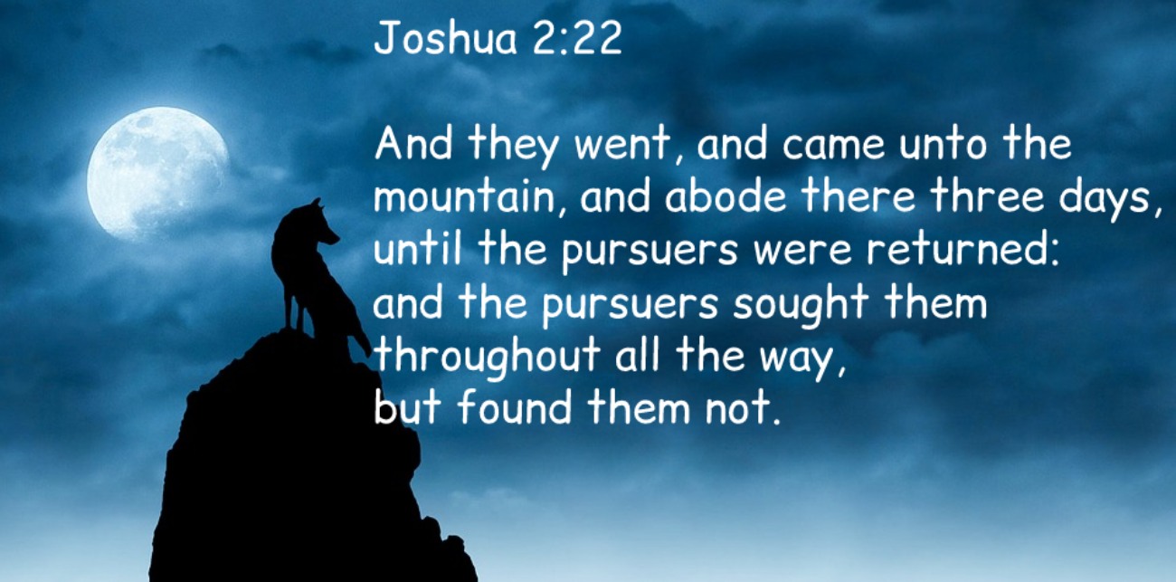 Joshua 2:22