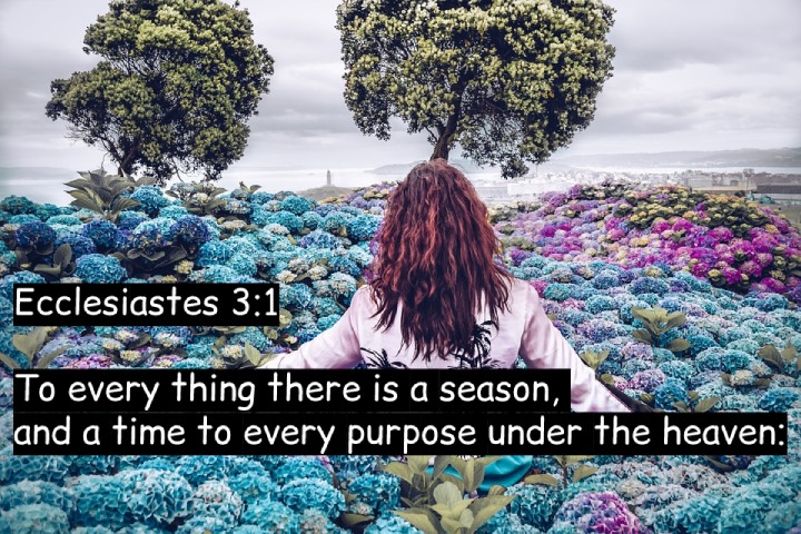 Ecclesiastes 3:1