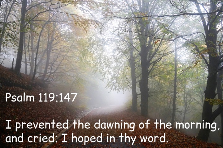 Psalm 119:147