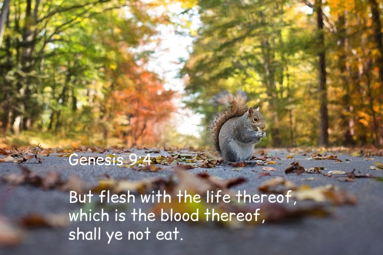 Genesis 9:4