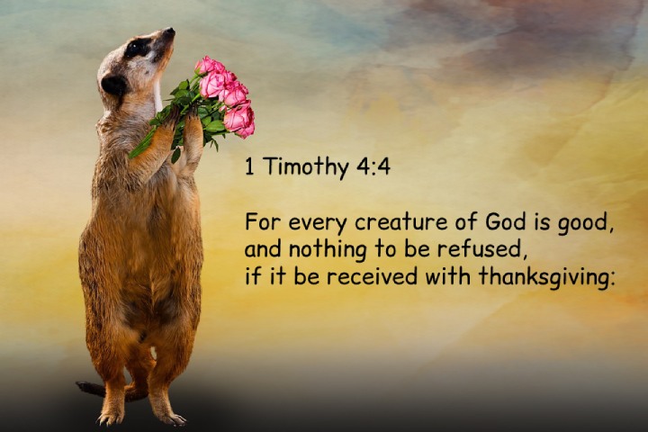 1 Timothy 4:4